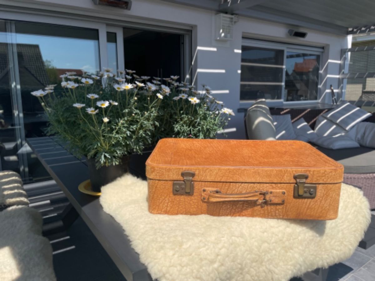 Vintage Kofferset – 3 Unieke Exemplaren Met Karakter image 11