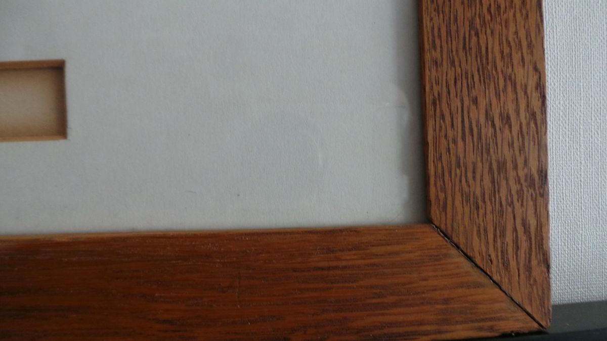 Mooie Groote Ets Ans Wortel image 5