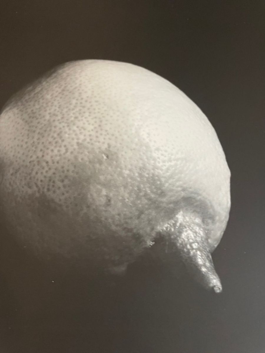 Sabine Kacunko, Out Of Sight I,2000 image 2