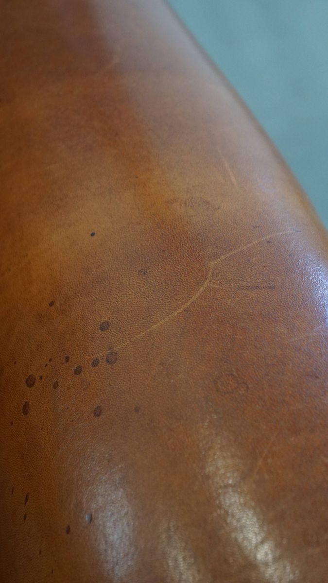 Sierlijke Schapenleren Oorfauteuil Met Zwarte Biezen En Klassieke Vormen image 13