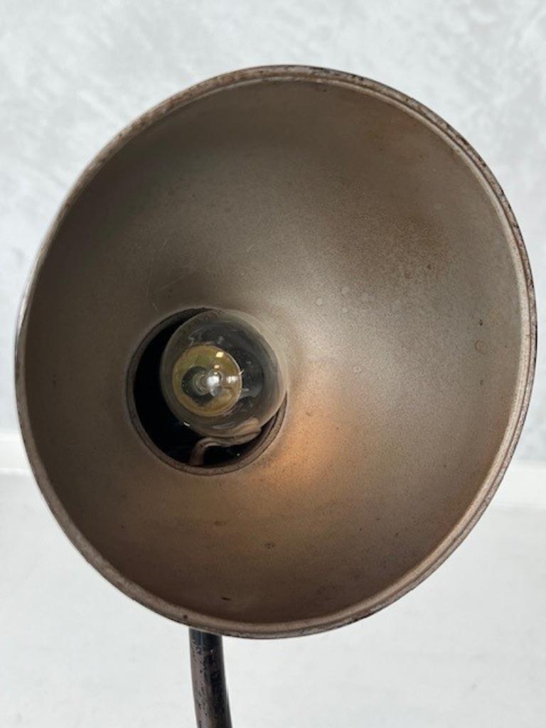 Kaiser Idell 6556 Burolamp Christian Dell Desk Lamp 1931 image 7