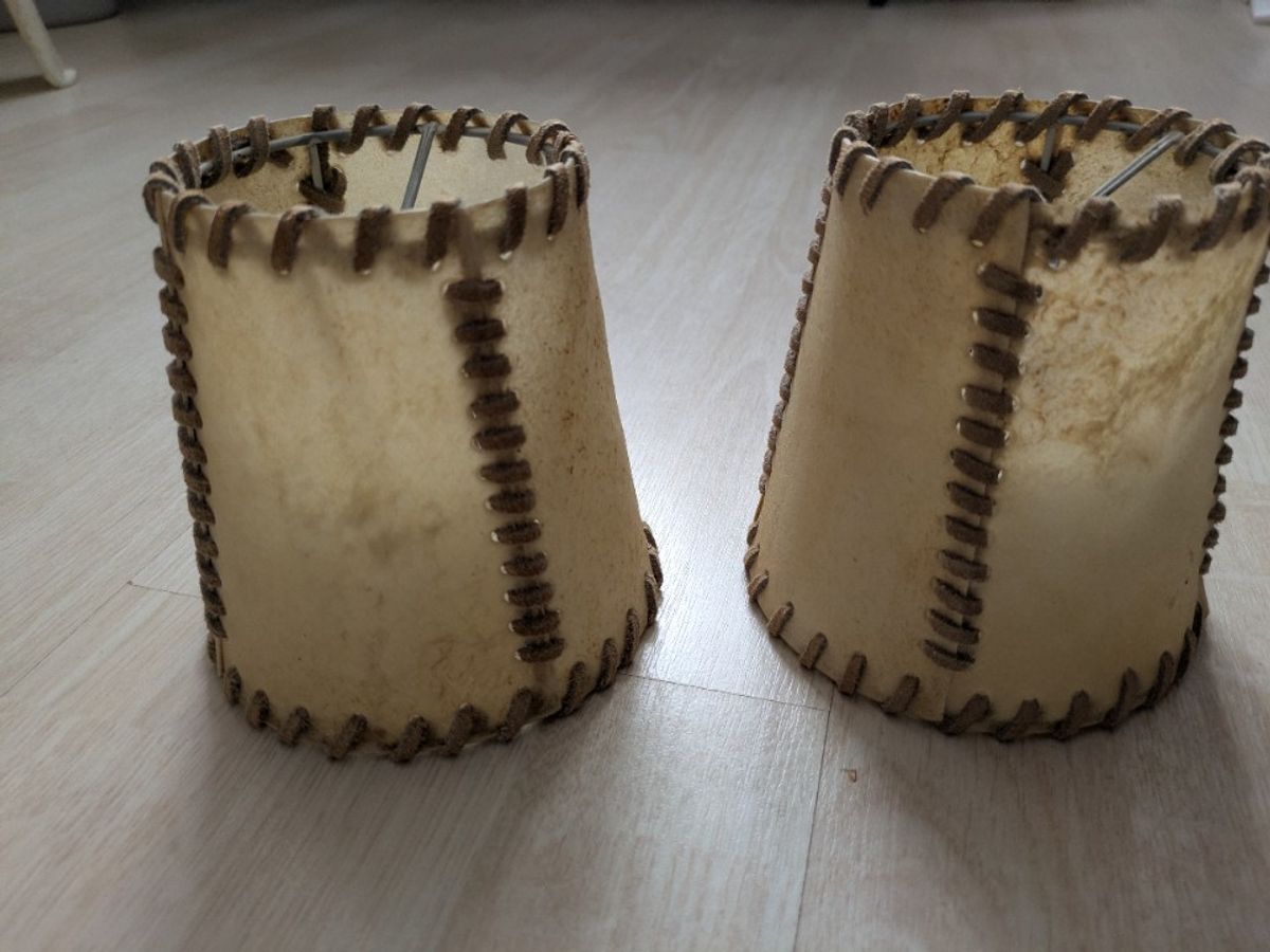 Lampenkapjes Van Varkensblaas image 3