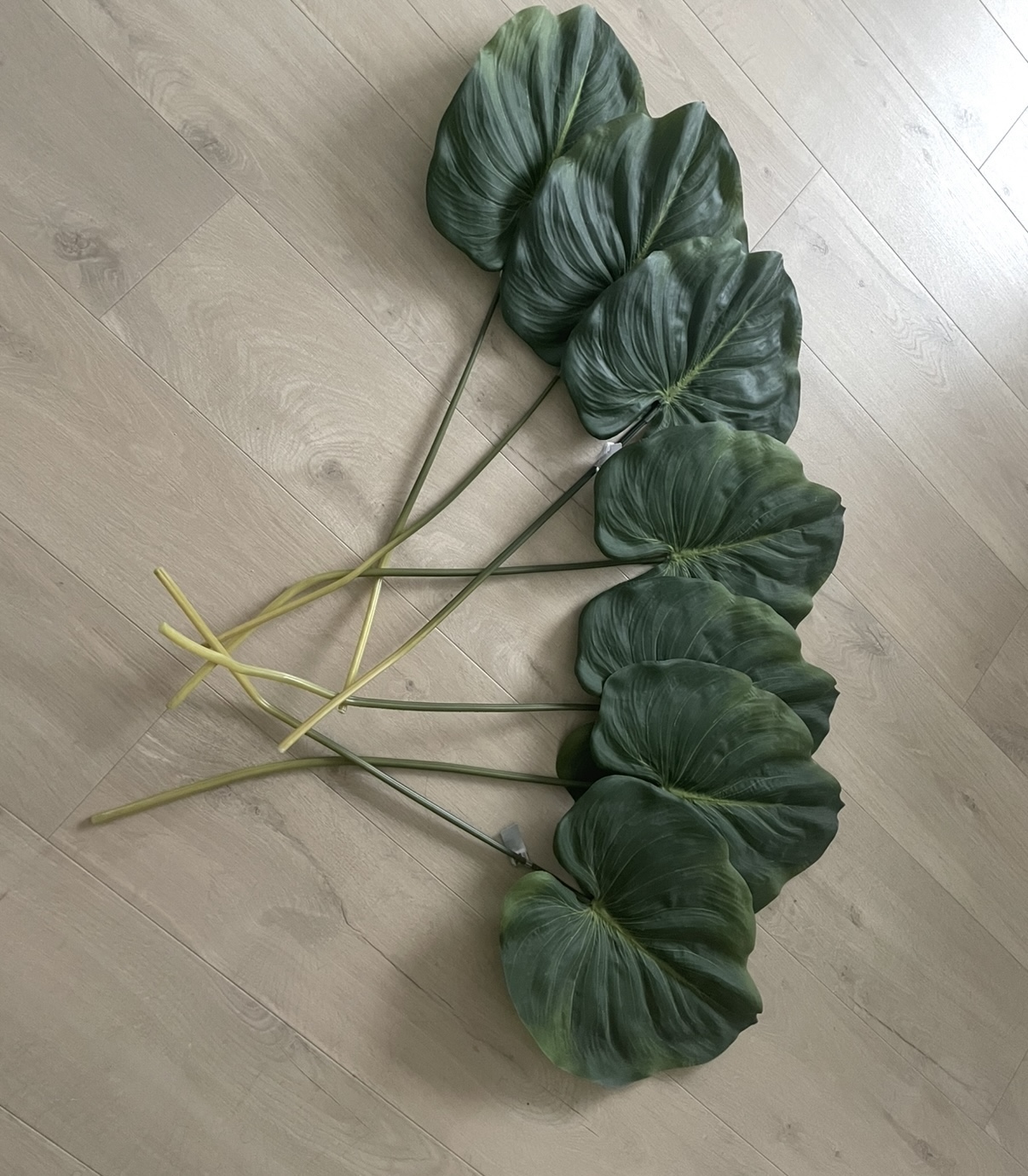 Zijden Bladeren Silk-ka Alocasia image 6
