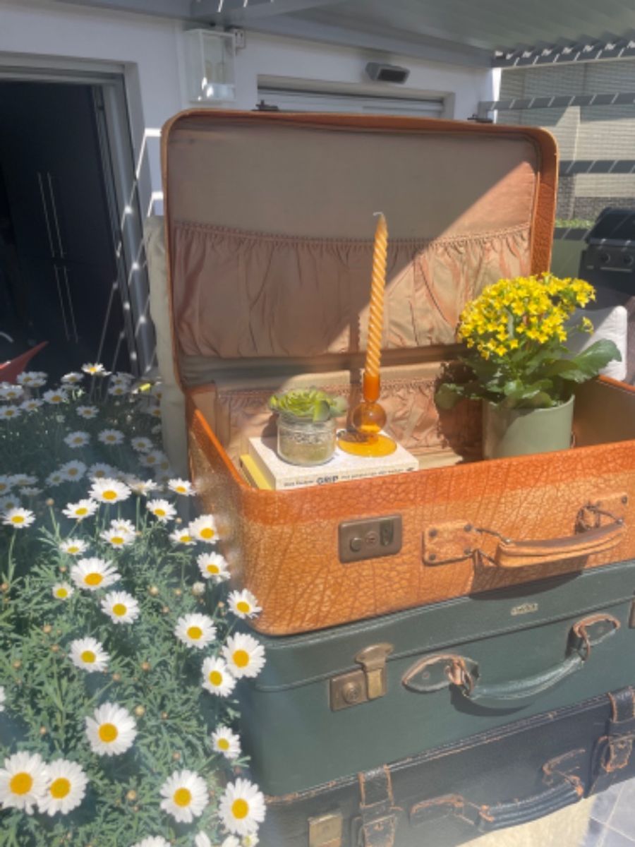 Vintage Kofferset – 3 Unieke Exemplaren Met Karakter image 10