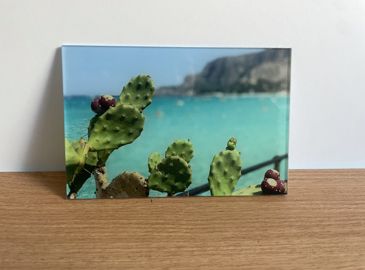 Foto Cactus Op Plexi image 2