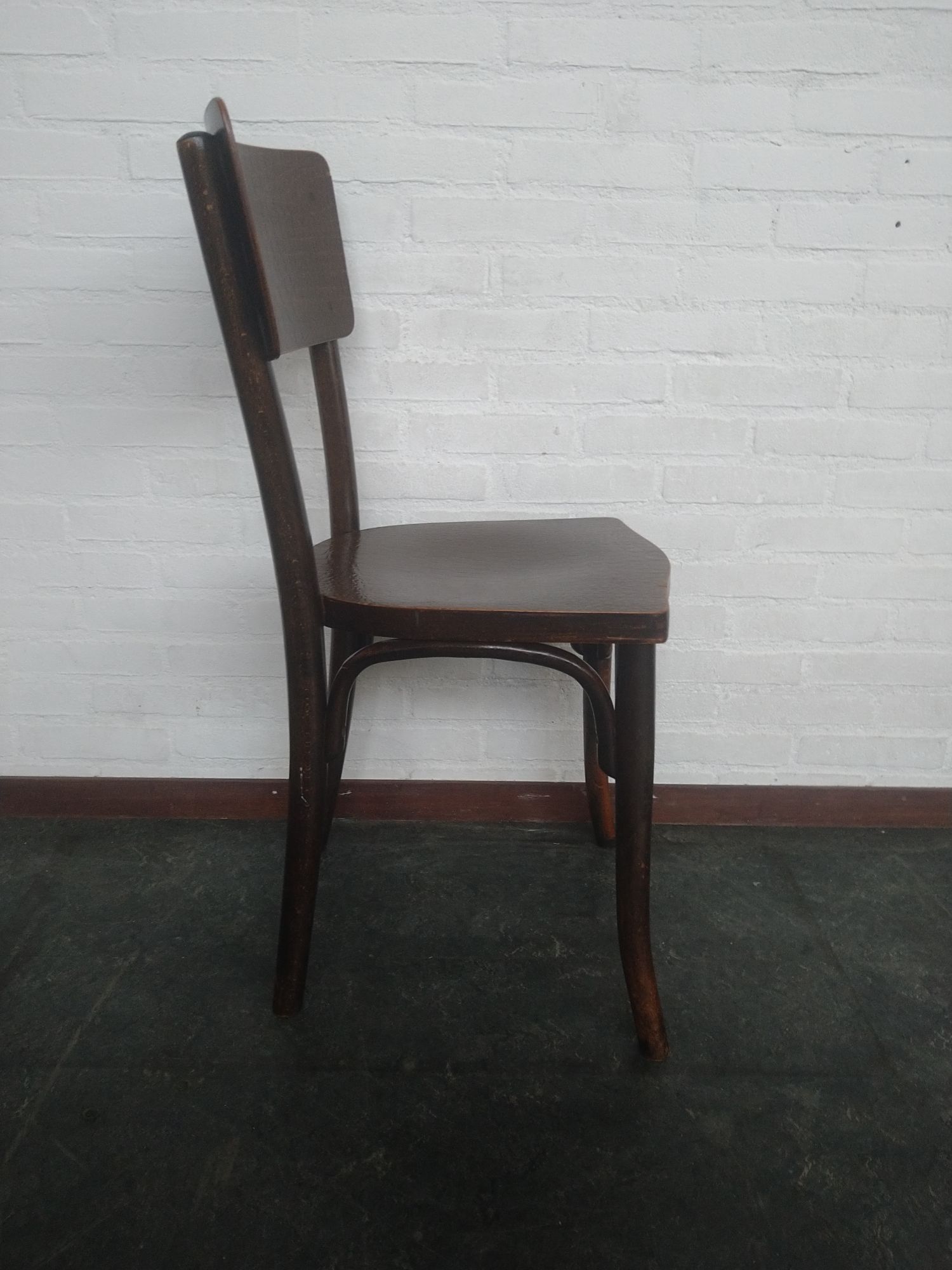 Thonet Stoel Met Krokodil Print image 5