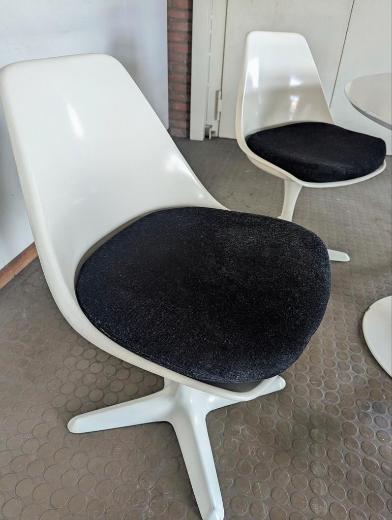 5 Vintage Arkana Tulipe Stoelen- Maurice Burke image 10