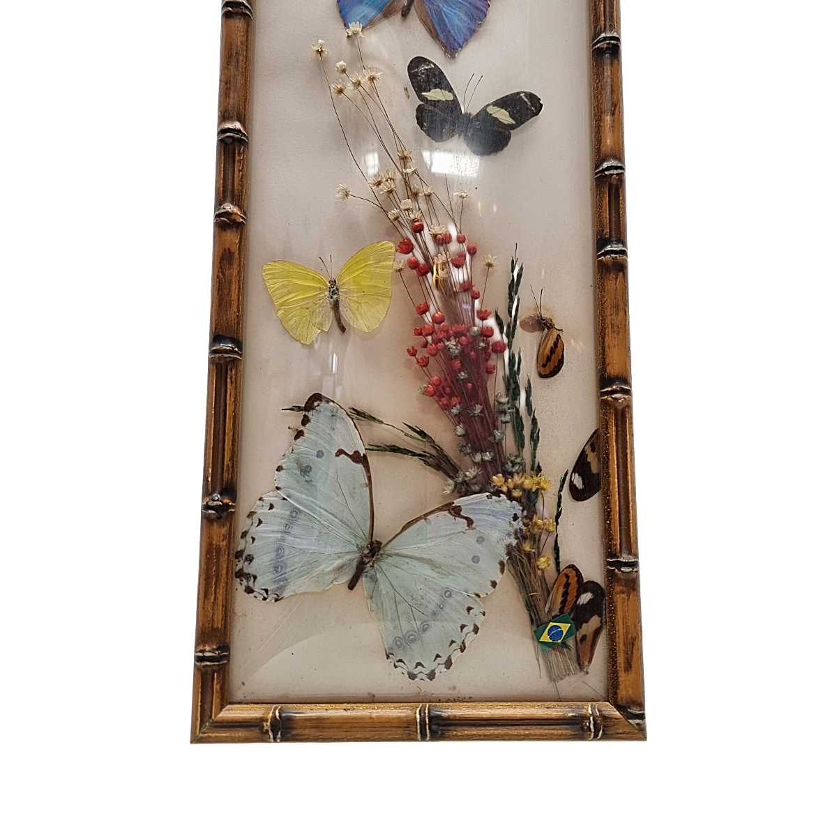 Vintage Opgezette Vlinders In Lijst image 7