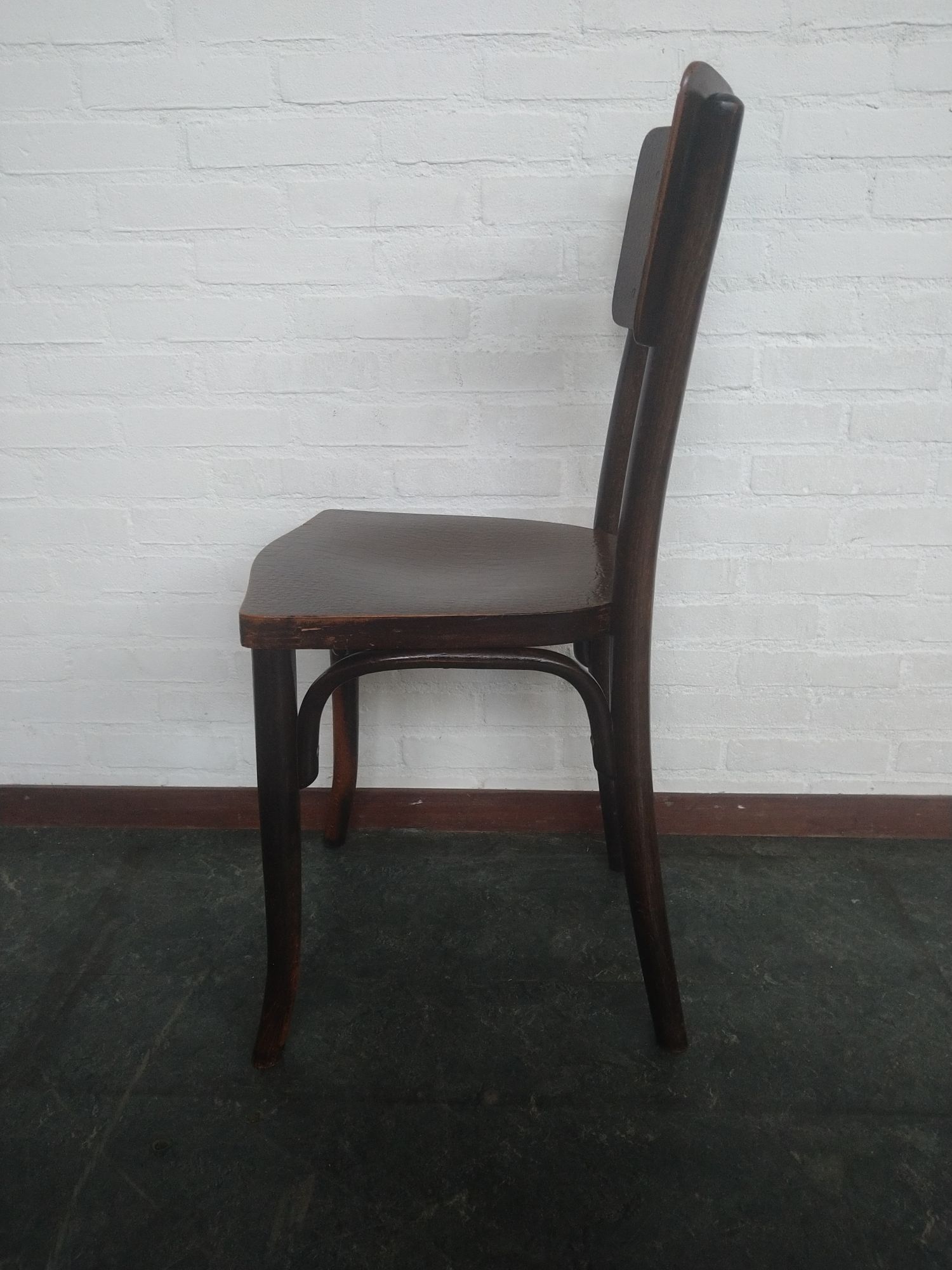 Thonet Stoel Met Krokodil Print image 3