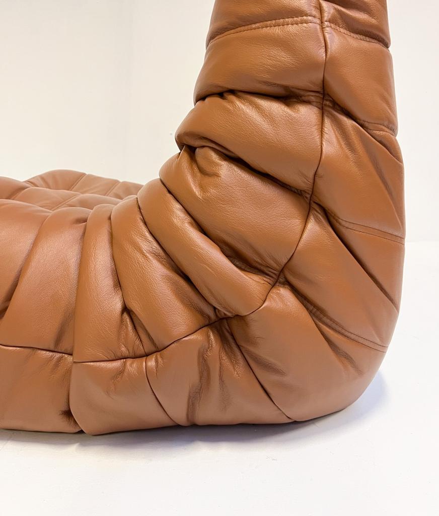 Togo 2-zits Sofa Van Michel Ducaroy Voor Ligne Roset image 6