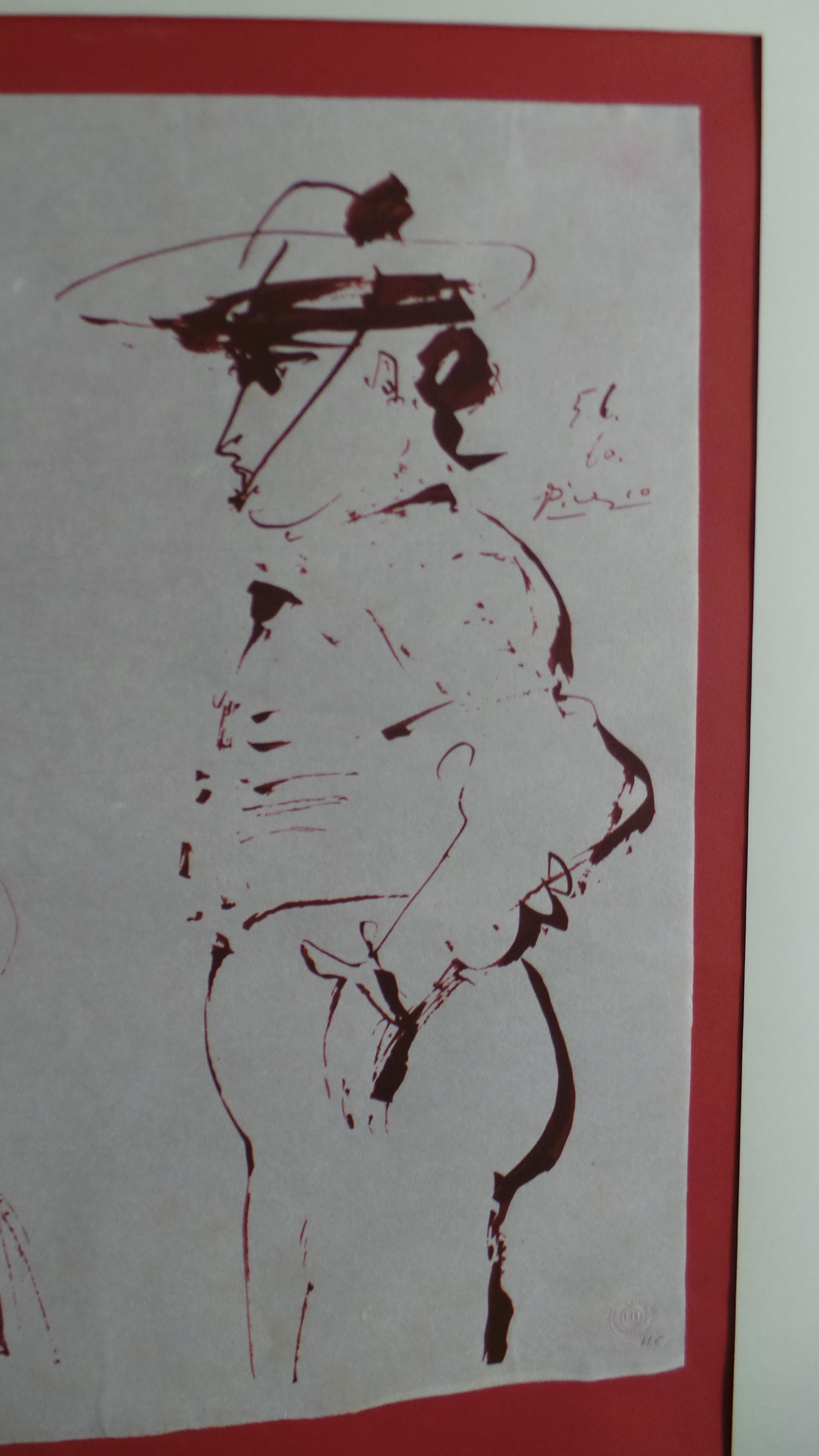 Picador image 8