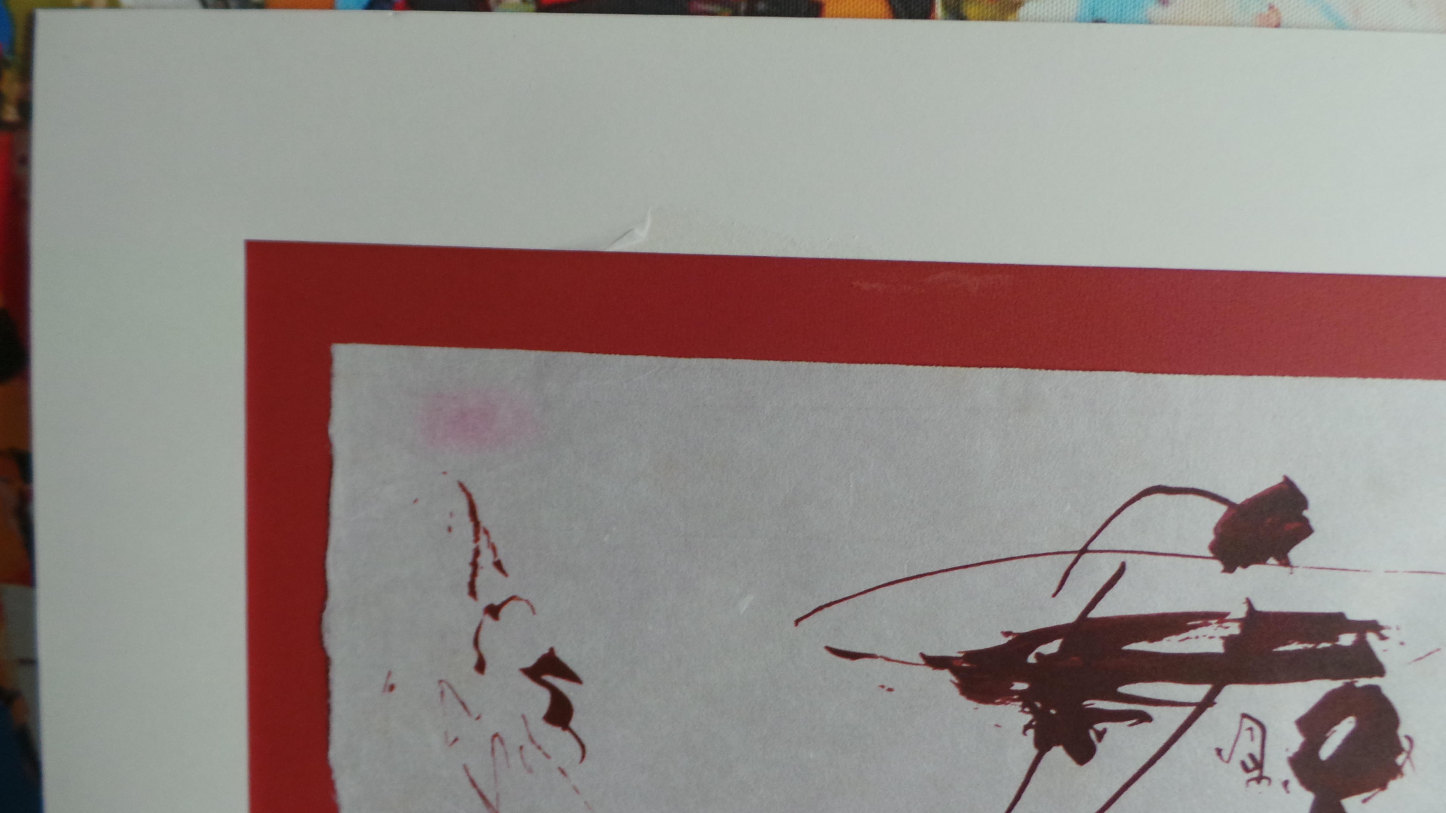 Picador image 10