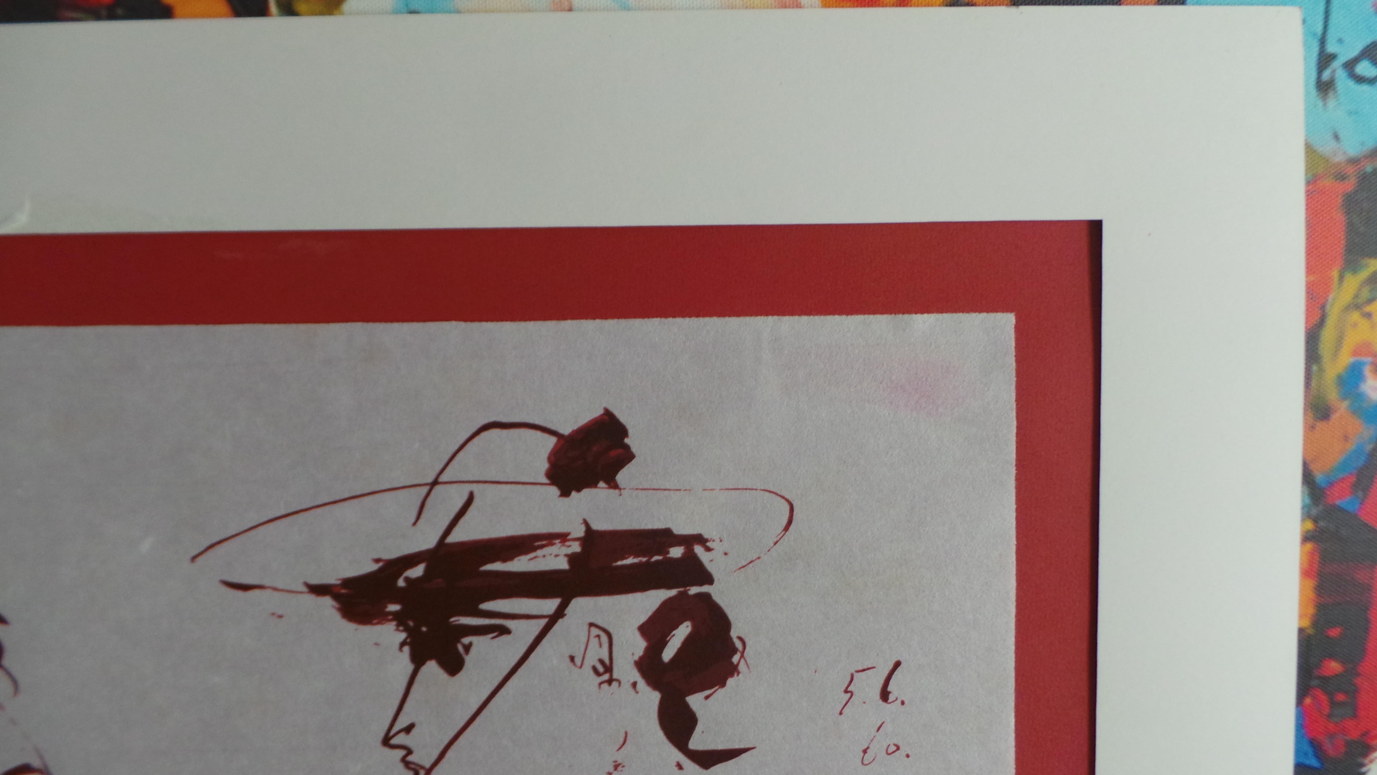 Picador image 11