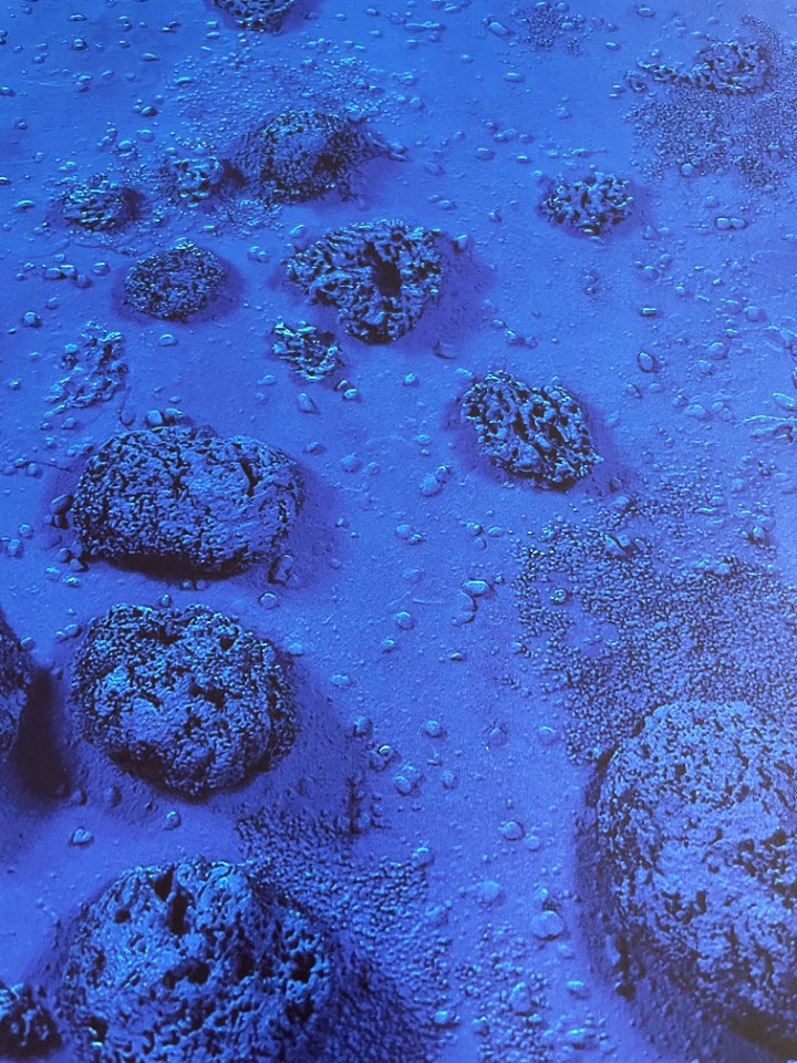 Yves Klein (1928-1962), Relief Éponge-Blue Re 17, image 7