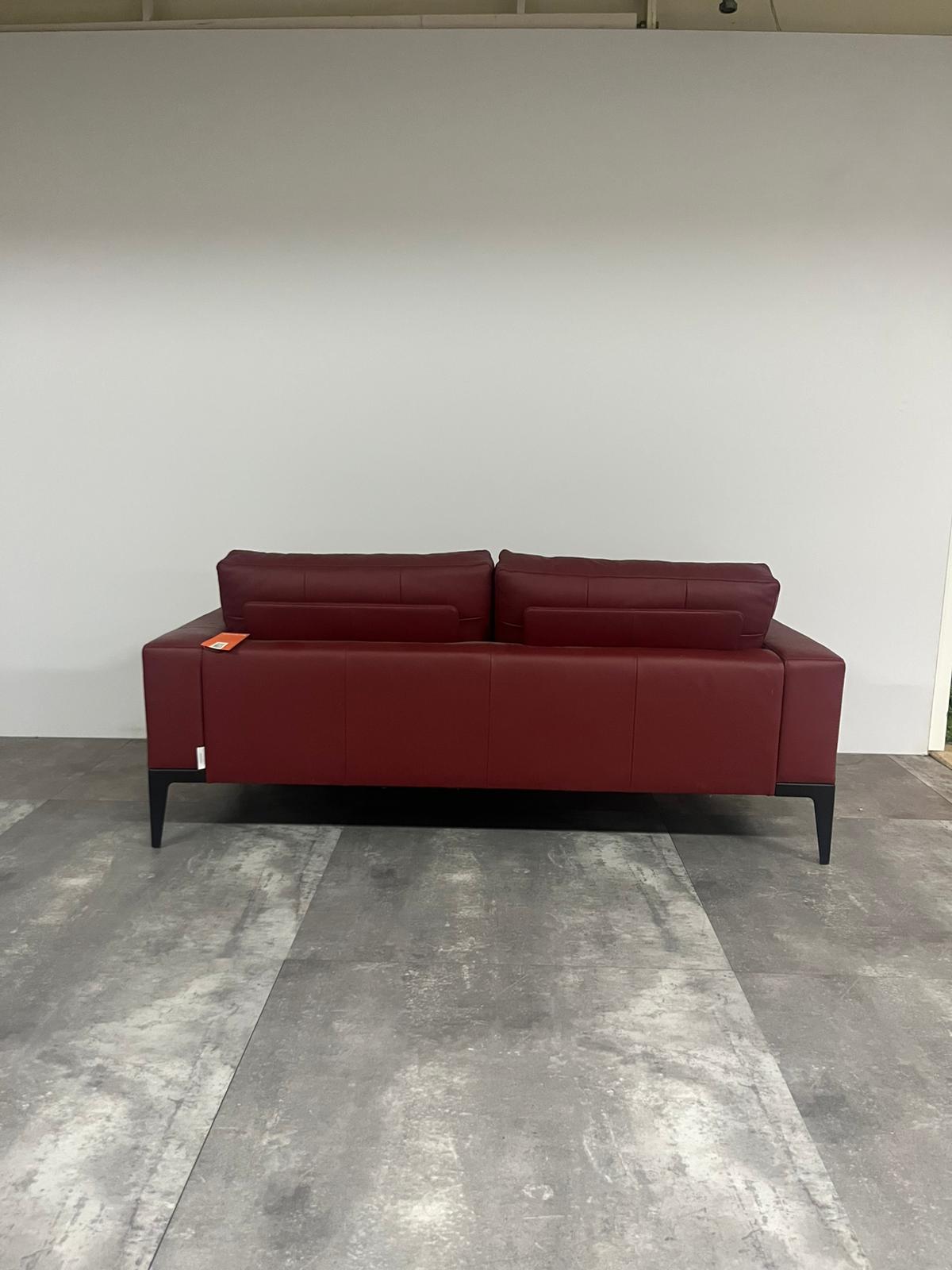 Bert Plantagie Renio | Bank image 6