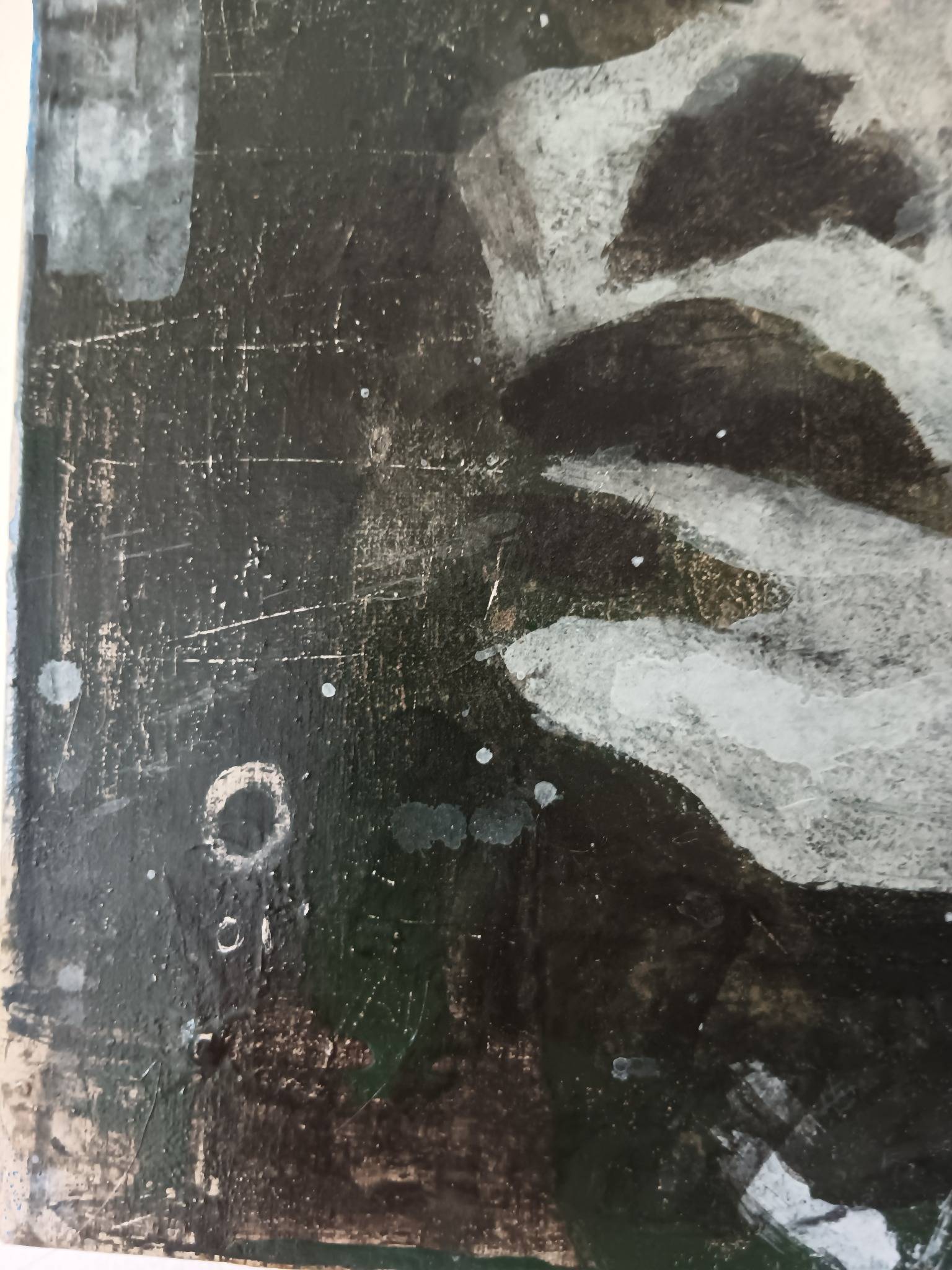Pieter Martyn "in The Pines" image 7