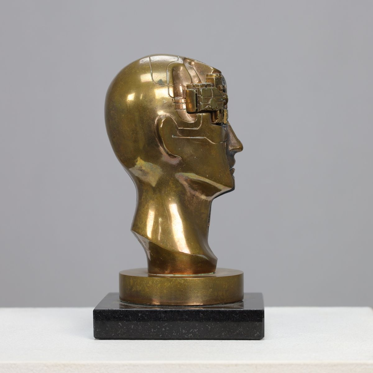 Sculpture “homo Decessor” By Raf Verjans image 3