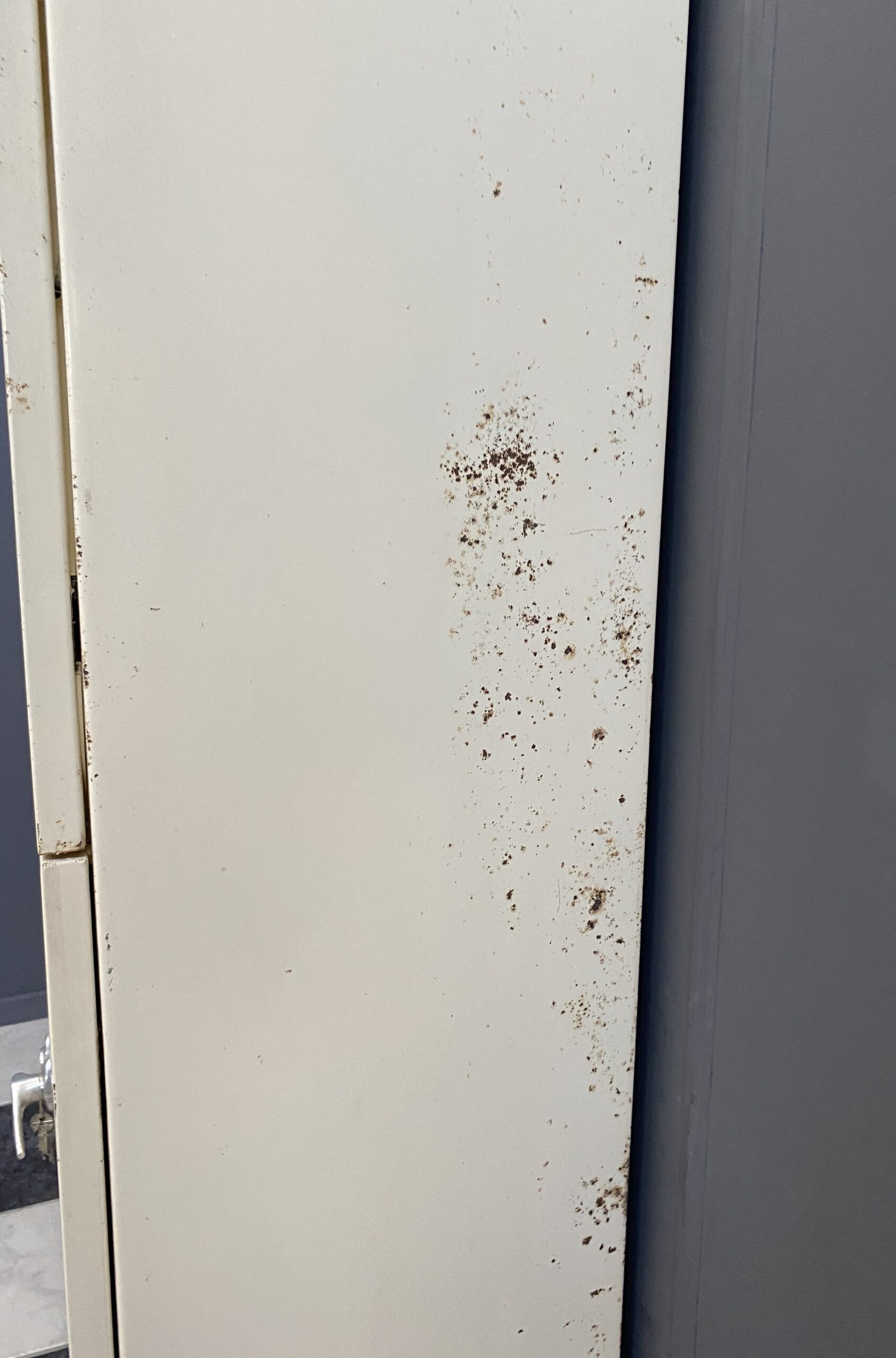 Metal Medical Cabinet 4Doors image 13