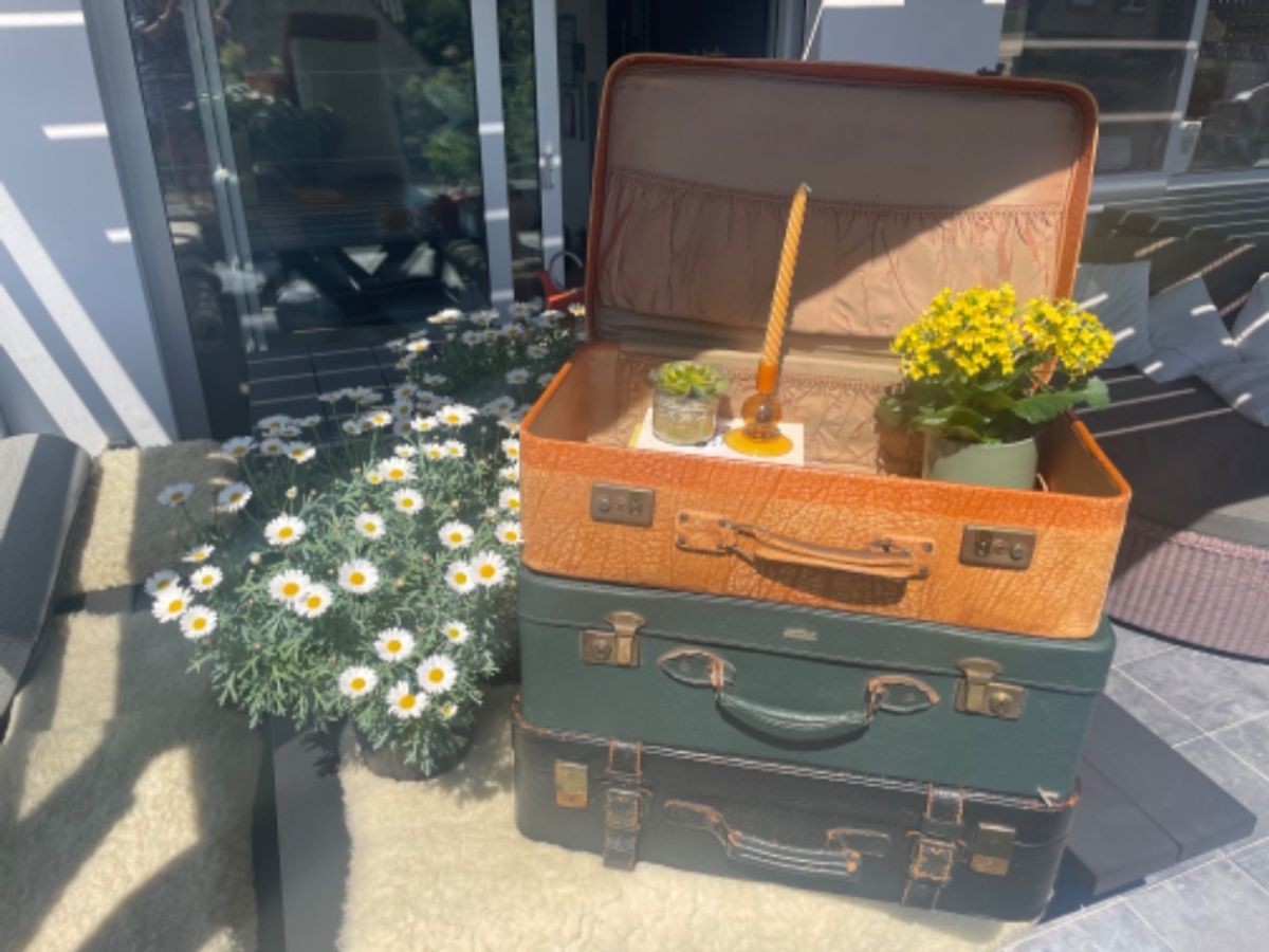 Vintage Kofferset – 3 Unieke Exemplaren Met Karakter image 17