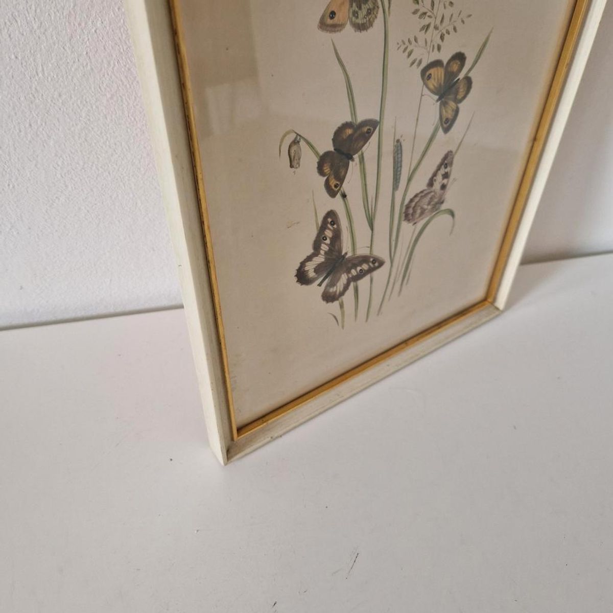 Vintage Lijst Met Prent Vlinders Vlinder Schilderij image 7
