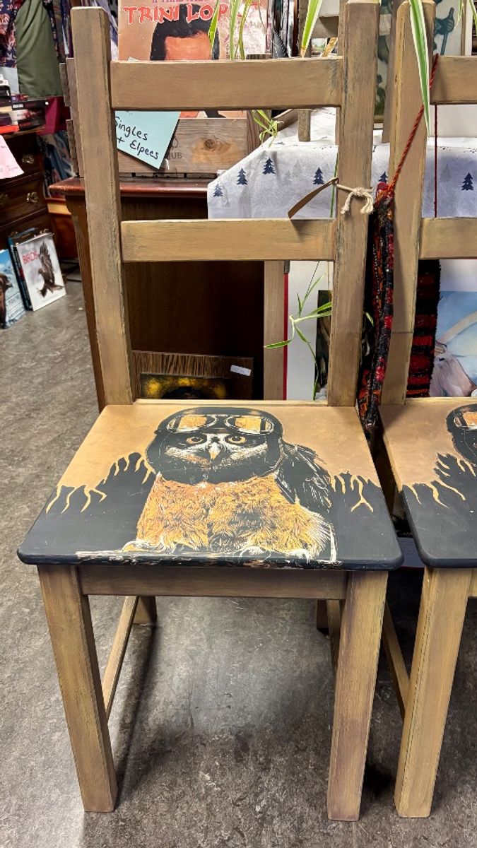 2 Stoelen Met Stoere Uil image 5