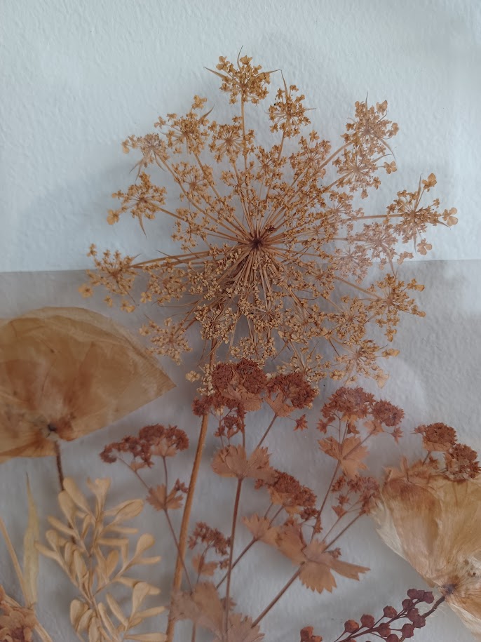 Vintage '70, Botanische Glaskunst. Gedroogde Bloemen En Planten. image 6