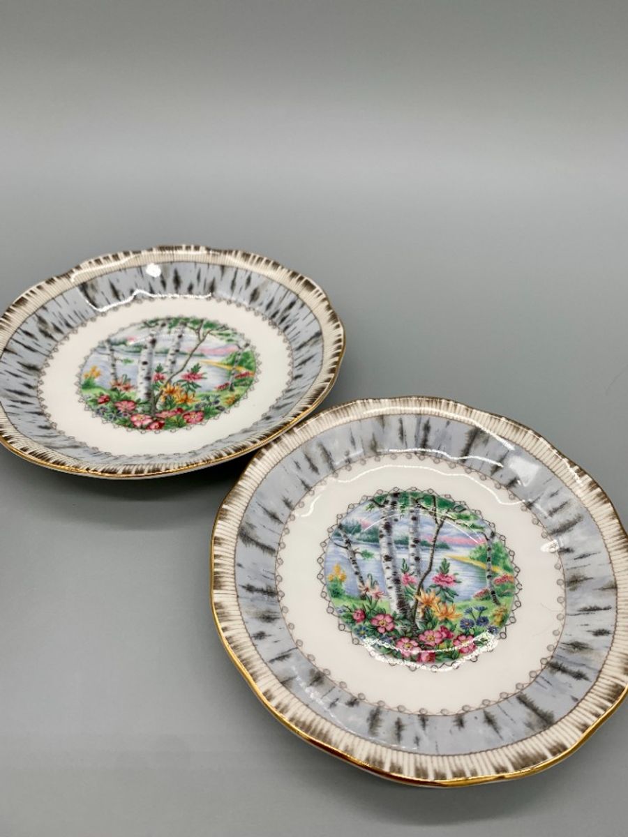 Set Royal Albert Silver Birch Dames En Heren Kop En Schotel image 4
