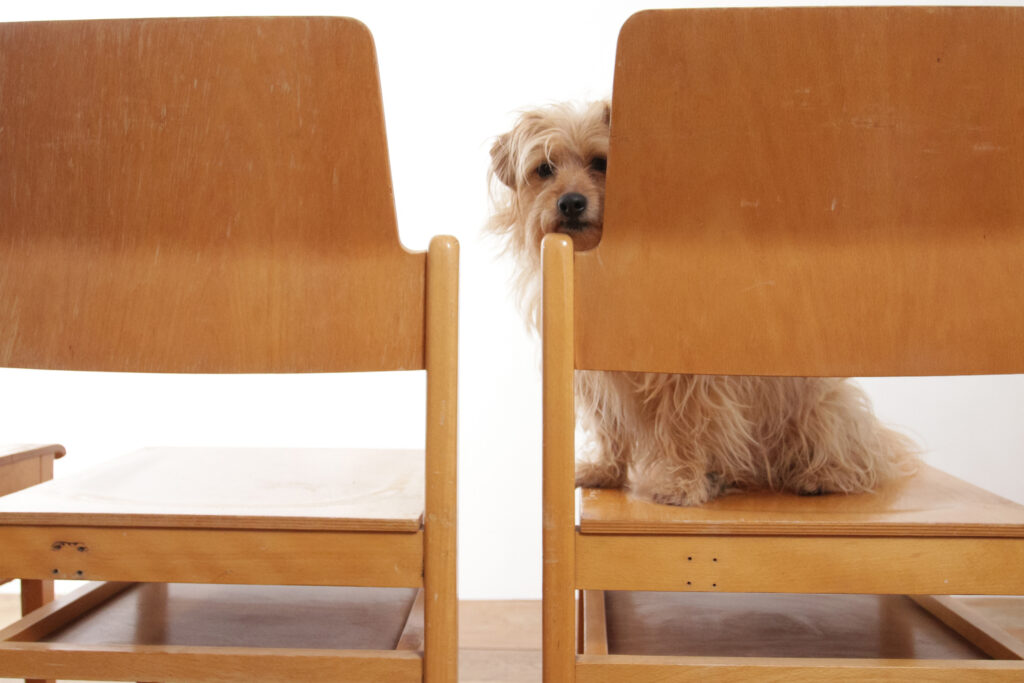 Vintage Design Houten Stoelen Met Plaats Voor Je Tijdschrift image 17