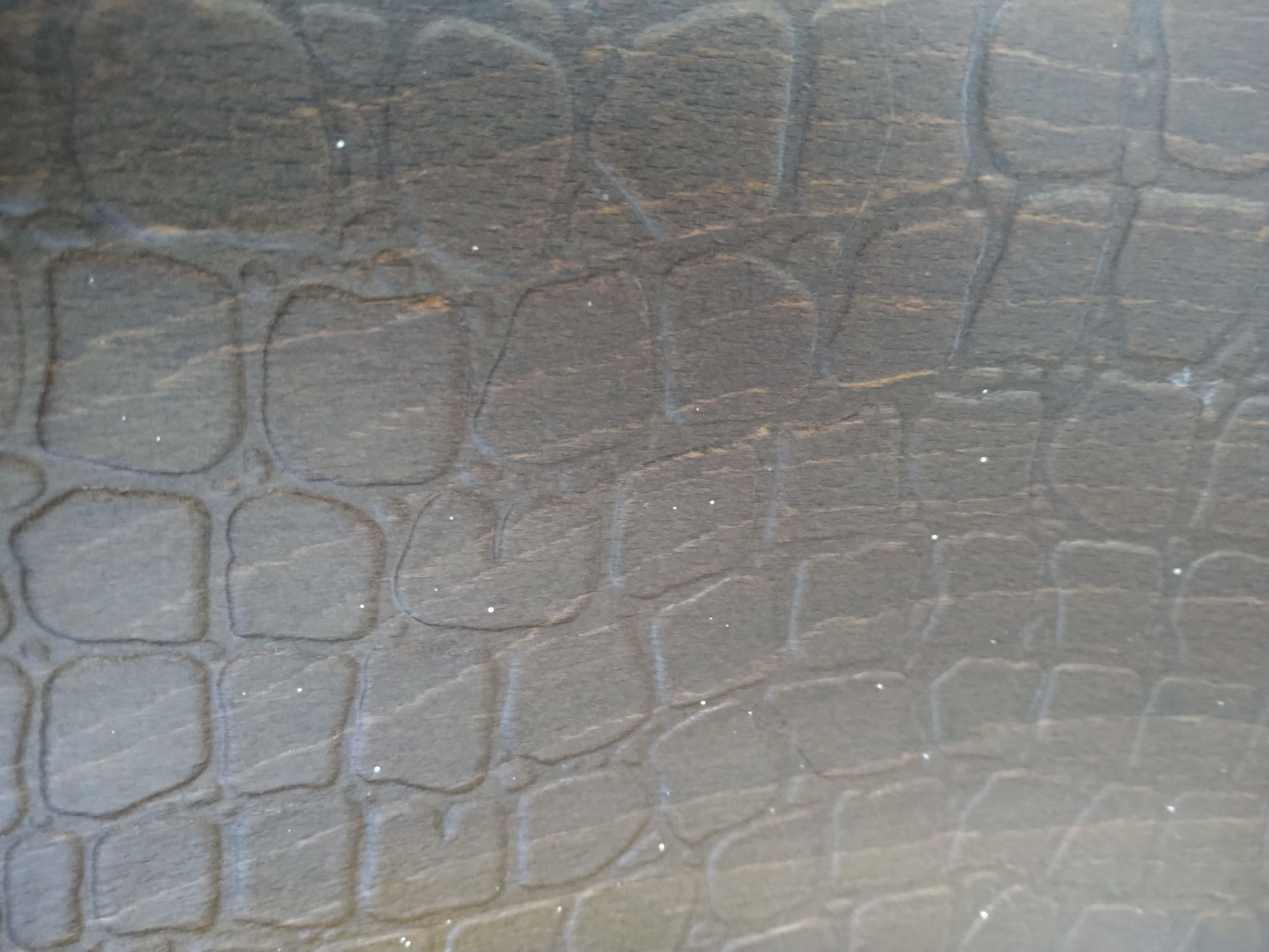 Thonet Stoel Met Krokodil Print image 8