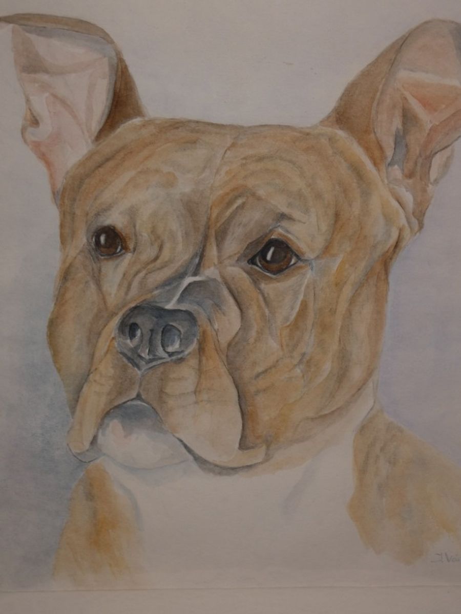 Aquarel J. Van Roey "hond". image 4