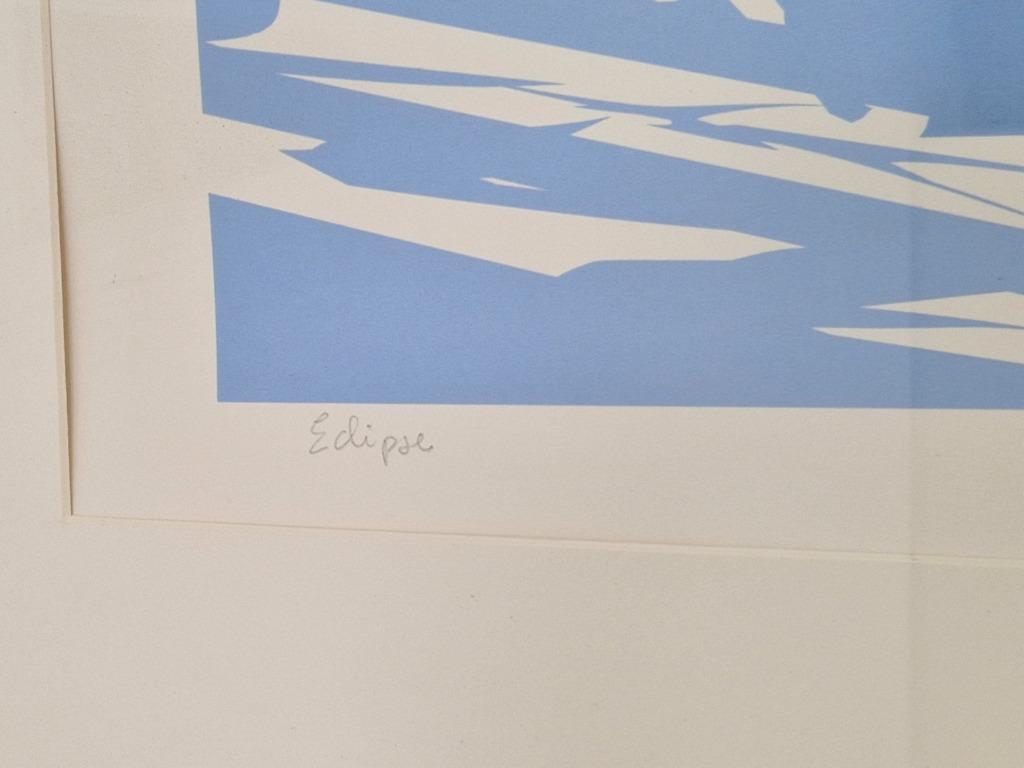 Vintage Postmodern Art Stilleven Zeefdruk Eclipse 1980 Boho image 8