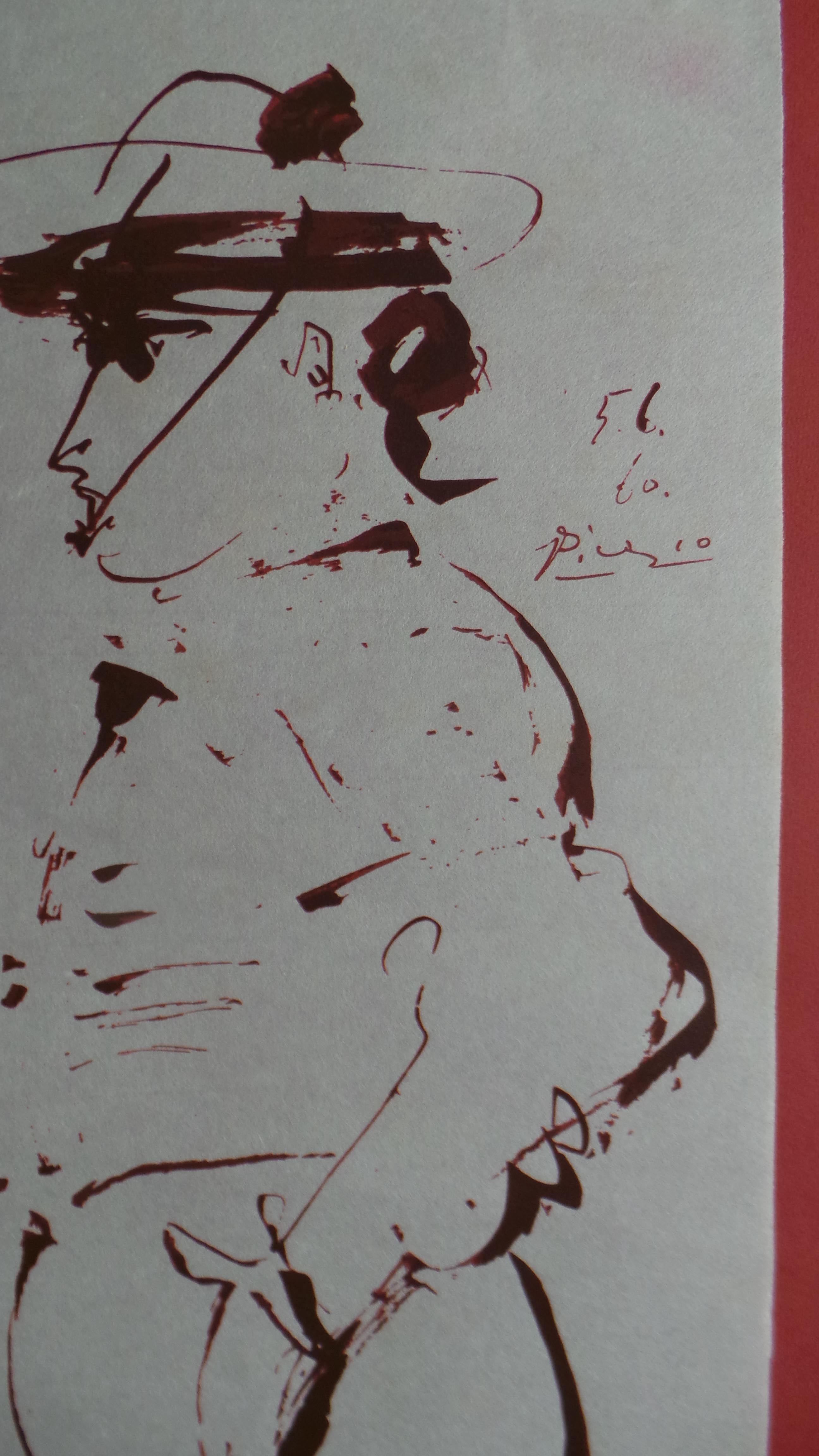 Picador image 15