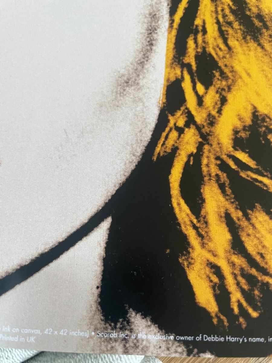 Andy Warhol (1928-1987), Debbie Harry, 1980 image 5