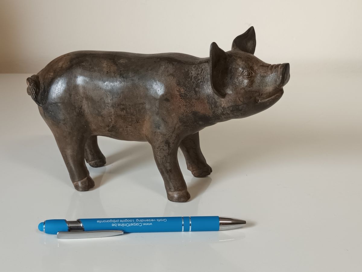 Bronzen Cochon Màle Pierre Chenet image 8
