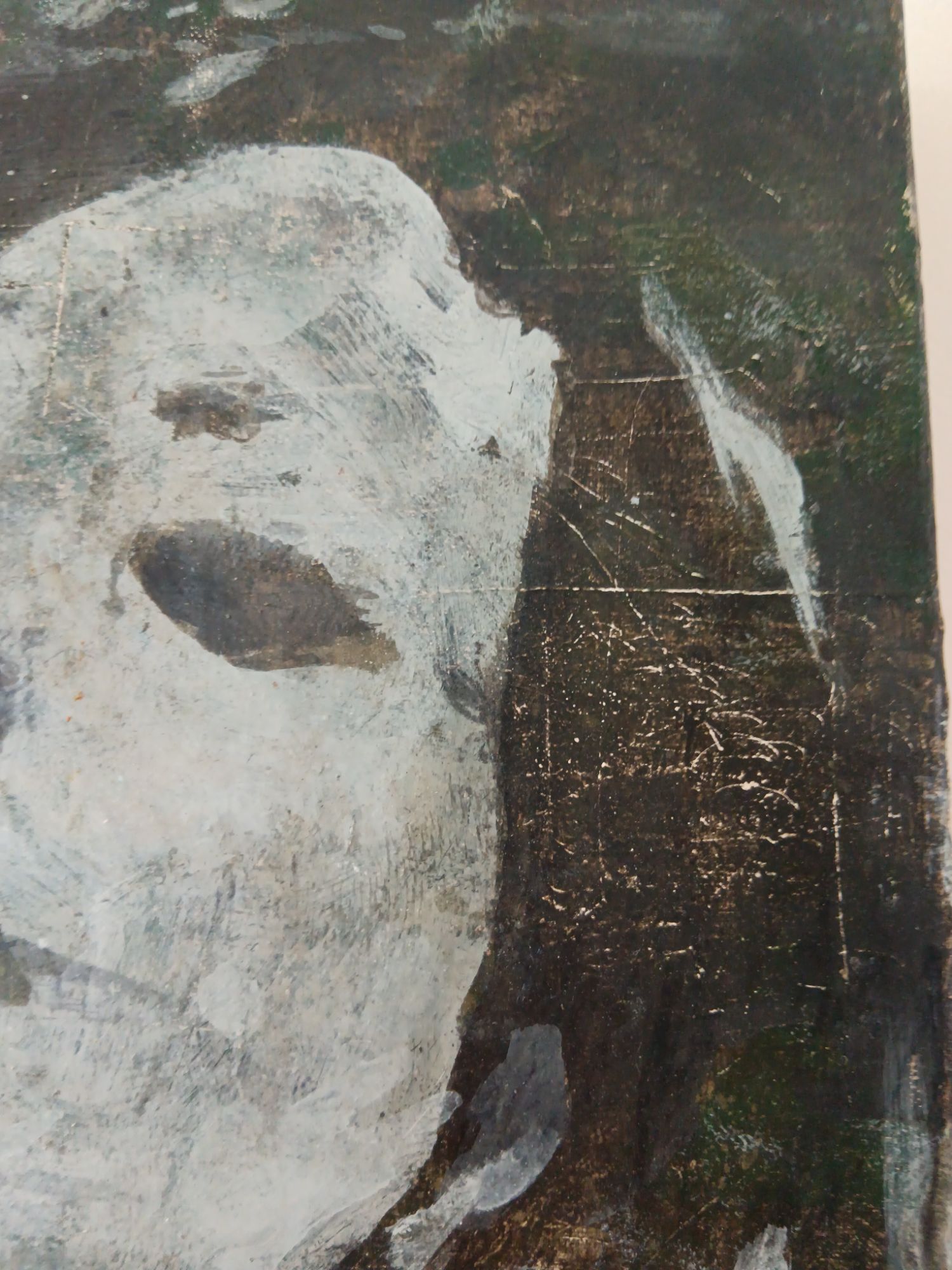 Pieter Martyn "in The Pines" image 4