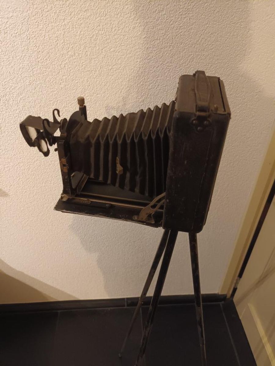 Antieke Contessa Nettel Altura 1921 Balgcamera Op Statief image 7