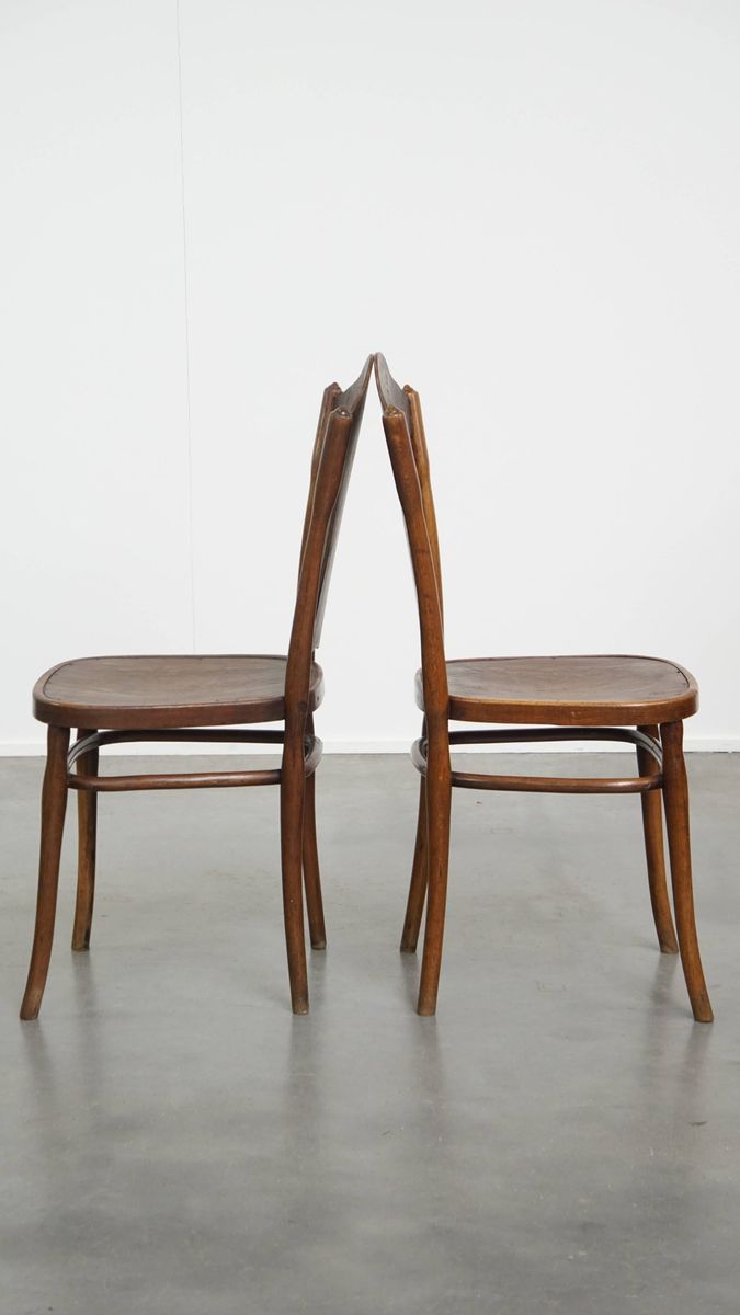 Set Van 2 Originele Jacob En Josef Kohn Bentwood Thonet Design Stoelen Uit Begin 20e Eeuw image 4