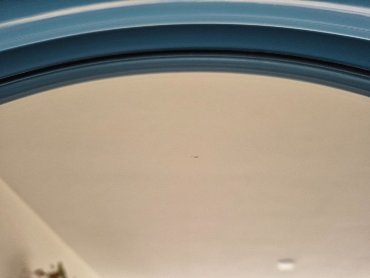 Carrara & Matta Spiegel. Vintage Xl Ronde Spiegel Blauw. image 11