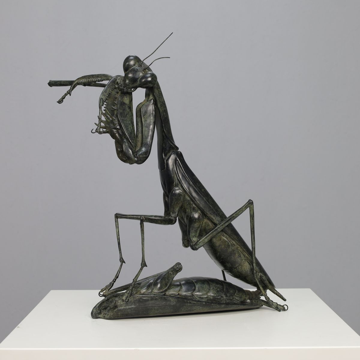Sculpture Praying Mantis – Wedding Sonata By Anne Shingleton 1995 image 3