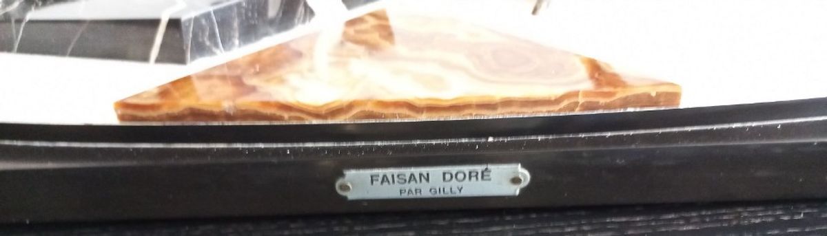 Faisan Doré Par Gilly. image 8