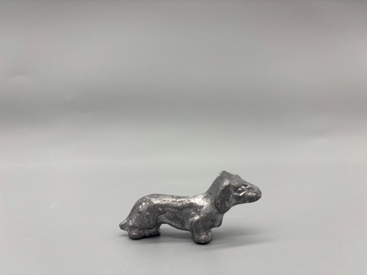 Miniatuur Teckel Zilverkleurig 4 image 5