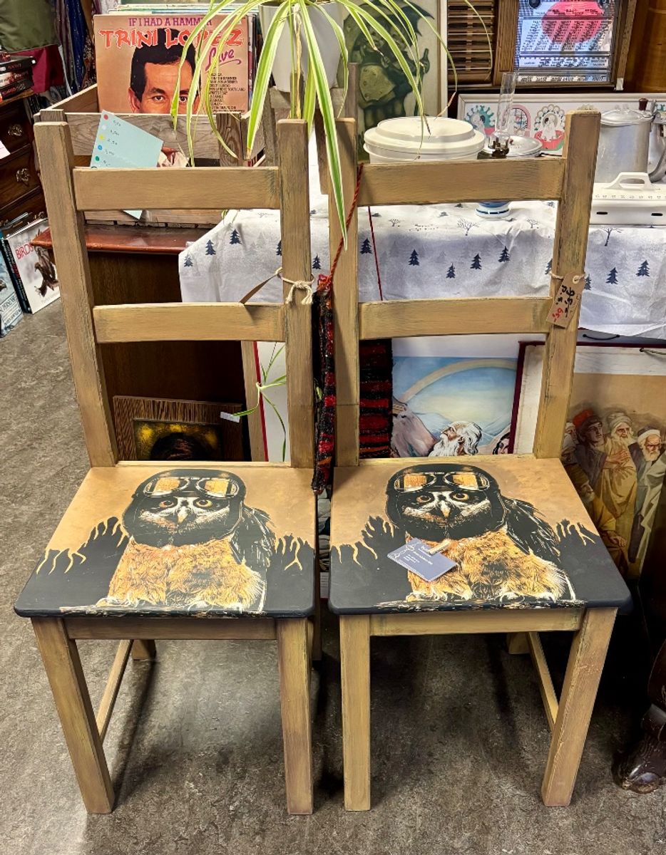 2 Stoelen Met Stoere Uil image 3