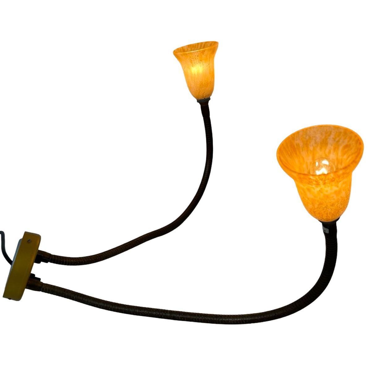 Rob Nollet - Deja Vu Nijmegen - Wall Mounted Lamp - Gooseneck (double) - Glass Shades, Dutch Design image 3