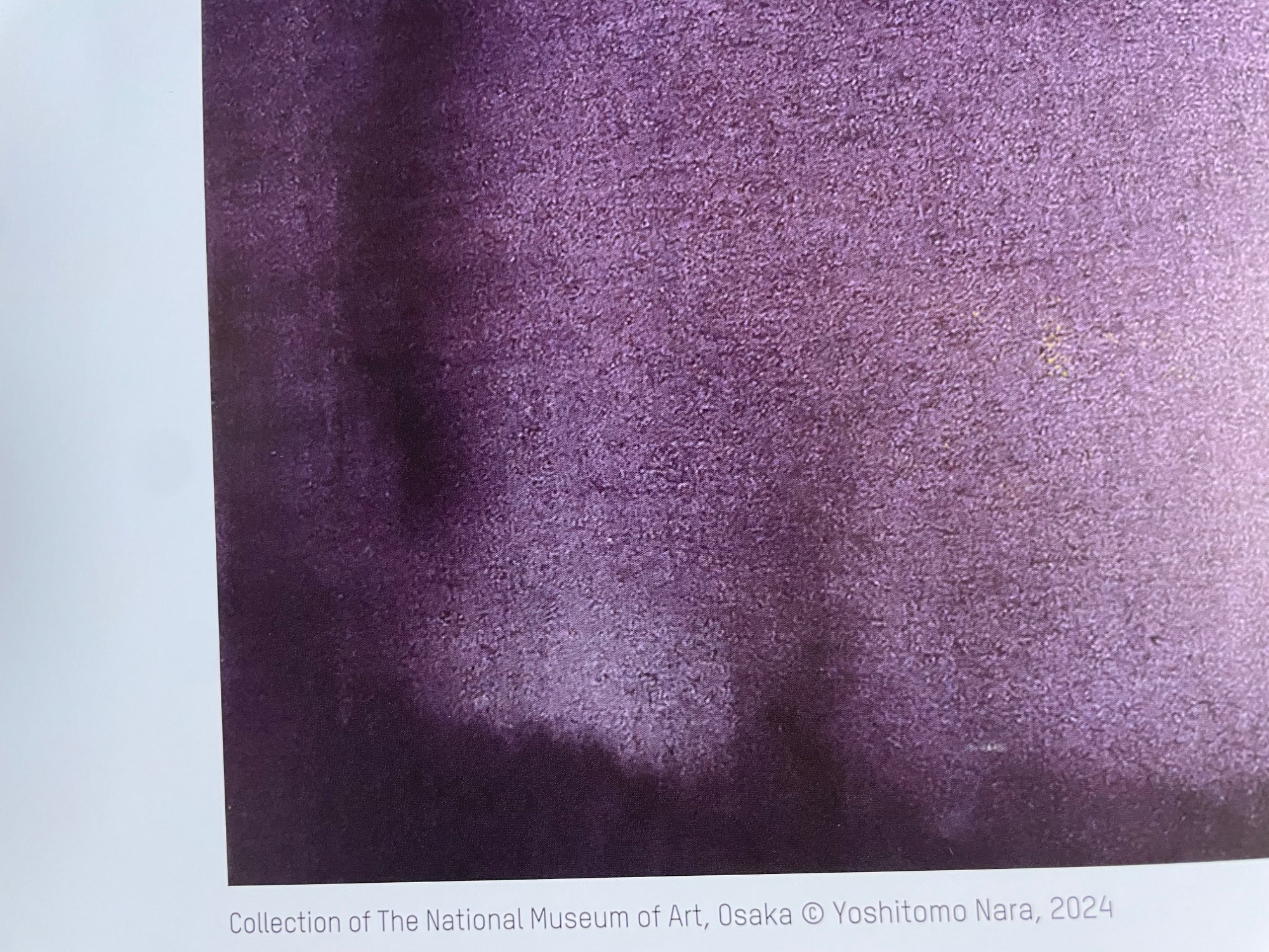 Yoshimoto Nara, The Longest Night image 4