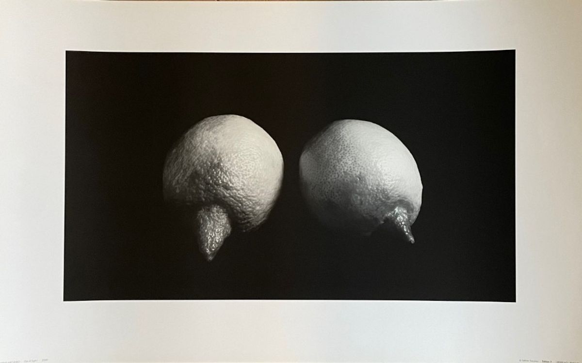 Sabine Kacunko, Out Of Sight I,2000 image 3