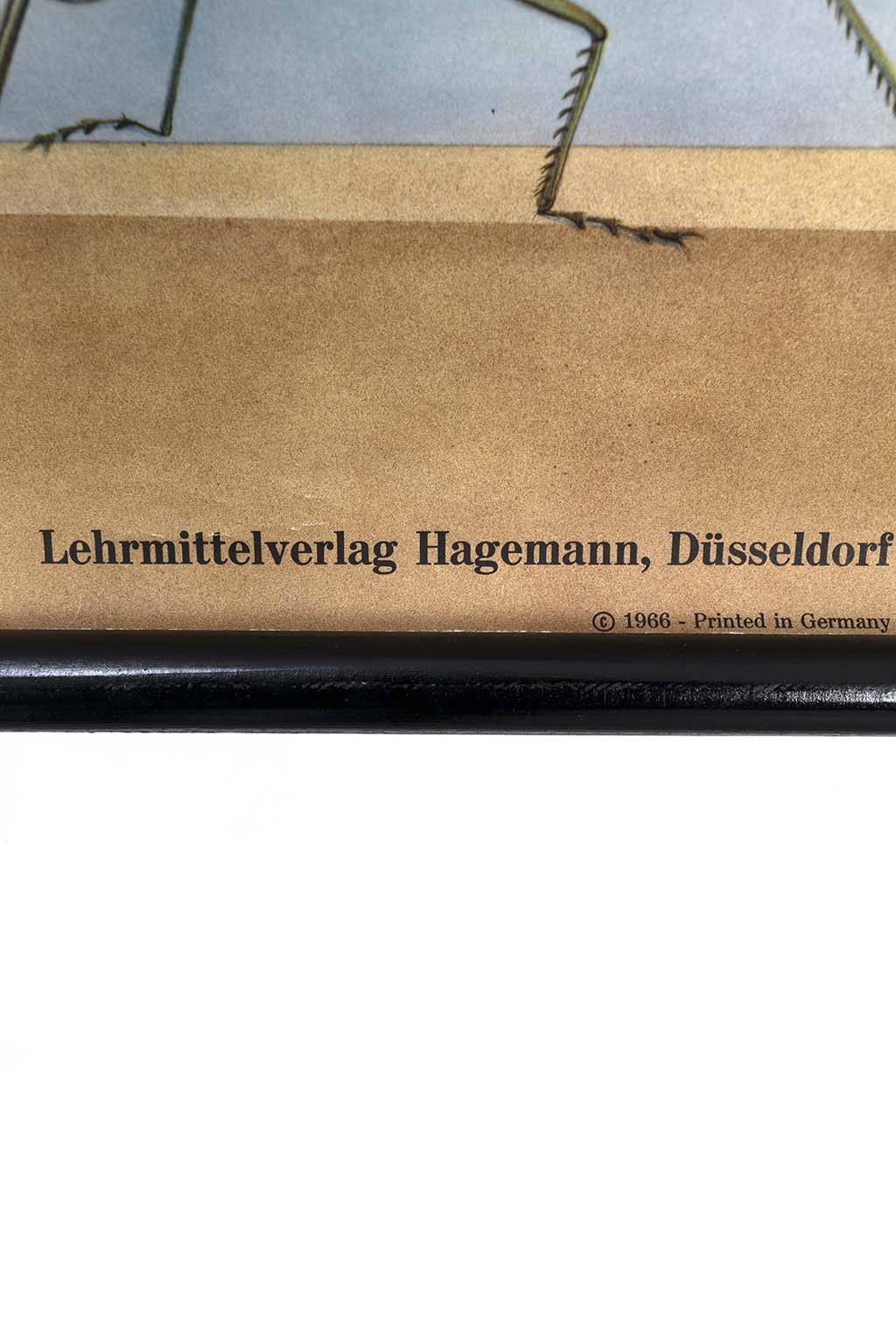 Jung Koch Quentell ‘Grüne Laubheuschreche’ 59890 image 6