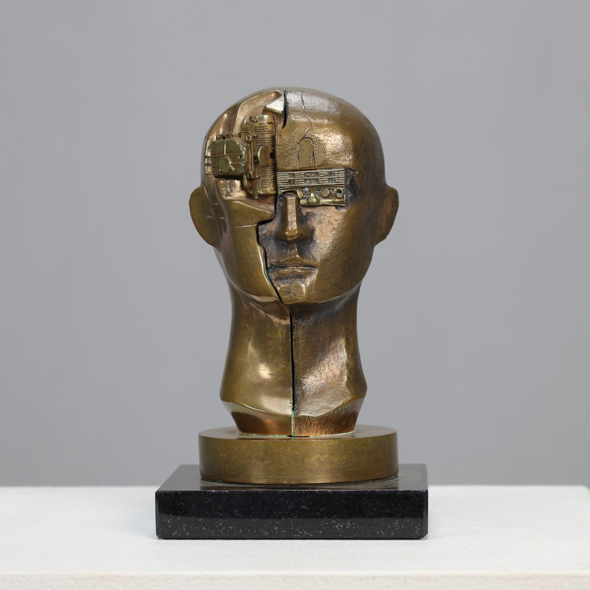 Sculpture “homo Decessor” By Raf Verjans image 2