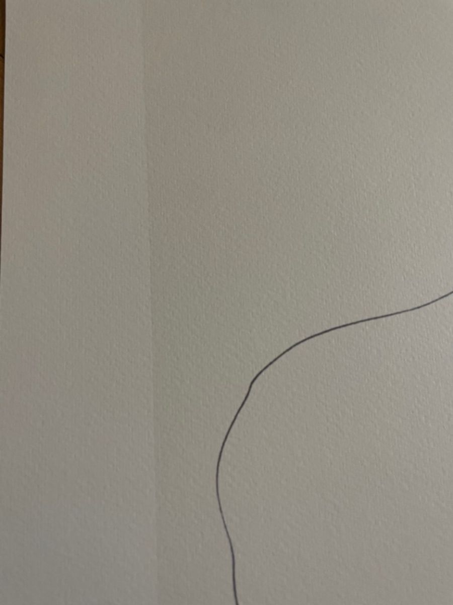 Ellsworth Kelly (1923-2015), Chêne, 1964 image 4
