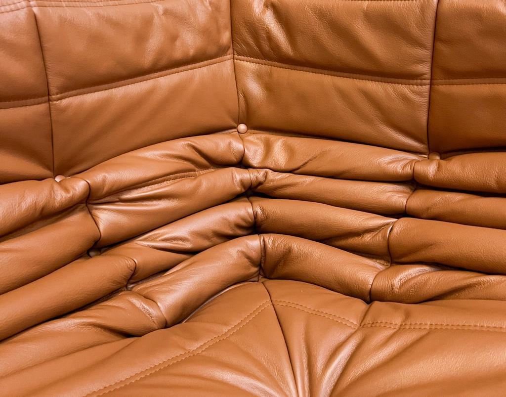 Togo Hoekelement Van Michel Ducaroy Voor Ligne Roset image 9