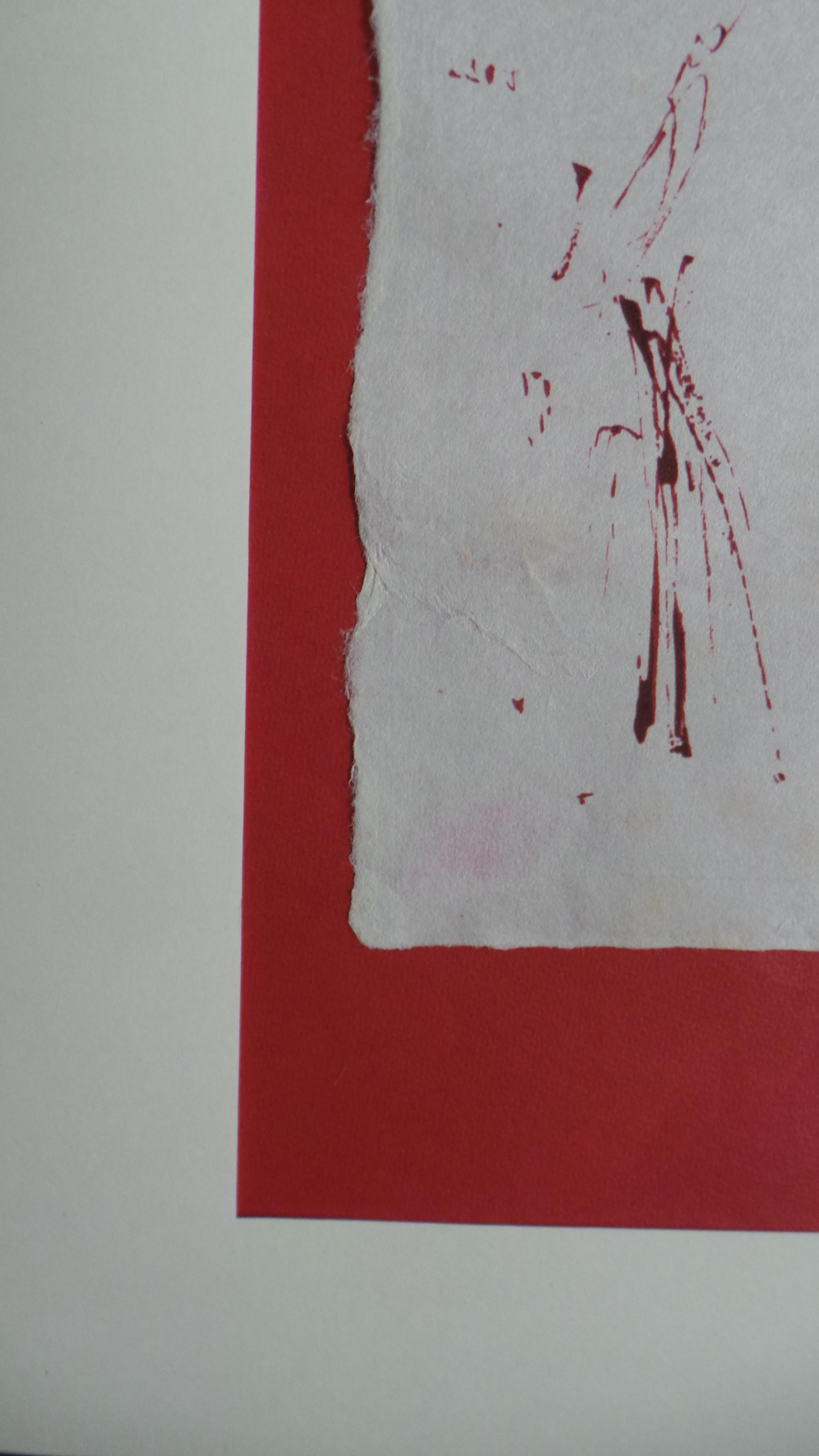 Picador image 6